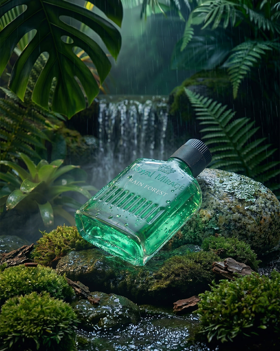 Rain Forest