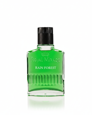Rain Forest